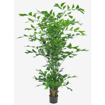 Künstliche Palme Fischschwanzpalme DRENIL, 240cm