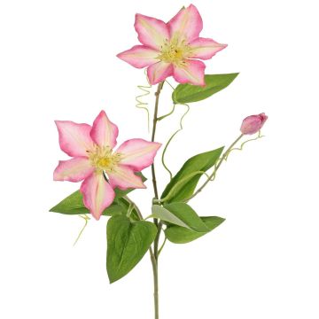 Kunstblumenzweig Waldrebe DORAN, rosa-grün, 75cm, Ø11-13cm