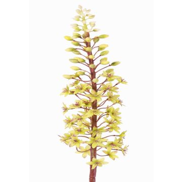Künstliche Blume Schopflilie ZERFIM, grün, 90cm