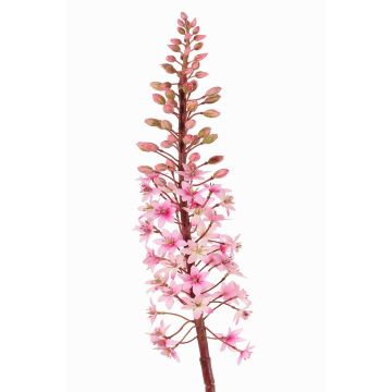 Künstliche Blume Schopflilie ZERFIM, rosa-grün, 90cm