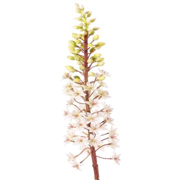 Künstliche Blume Schopflilie ZERFIM, weiß-grün, 90cm