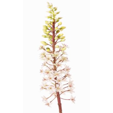 Künstliche Blume Schopflilie ZERFIM, weiß-grün, 90cm