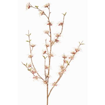 Künstlicher Zaubernuss Zweig XYLA, Blüten, creme-rot, 120cm, Ø5cm 