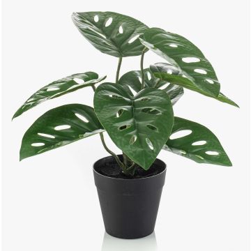 Kunstpflanze Philodendron monstera adansonii PRUMEX, Dekotopf, 28cm Kunstpflanze Philodendron monstera adansonii PRUMEX, Dekotopf, 28cm