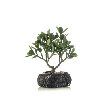 Künstlicher Bonsai Geldbaum DRAVIN im Dekotopf, grün, 24cm