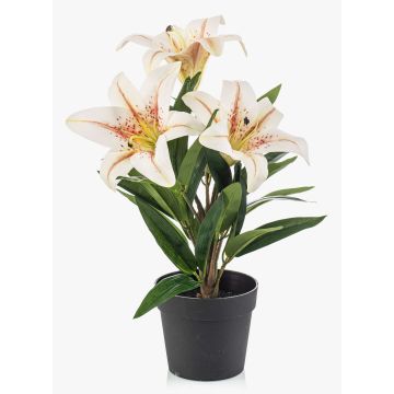Künstliche Lilie YELTOR im Dekotopf, creme-pink, 35cm, Ø13cm