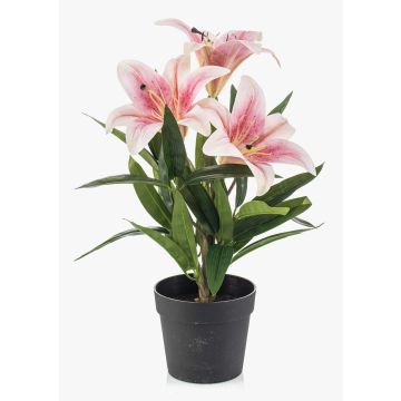 Künstliche Lilie YELTOR im Dekotopf, rosa-pink, 35cm, Ø13cm