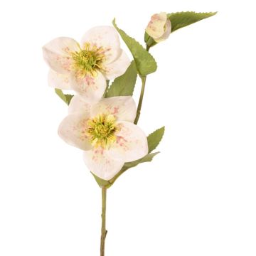 Künstlicher Zweig Christrose SUNMYN, creme, 55cm, Ø8-10cm