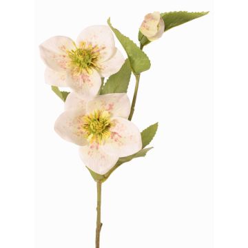 Künstlicher Zweig Christrose SUNMYN, creme, 55cm, Ø8-10cm