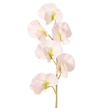 Blume künstlich Lathyrus WAHNY, weiß-grün, 35cm, Ø5cm