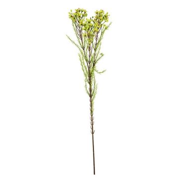 Künstlicher Zweig Wachsblume MEDEA, grün-pink, 80cm, Ø6cm