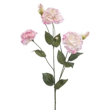 Kunstblume Lisianthus RENARA, rosa-creme, 75cm