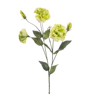 Kunstblume Lisianthus RENARA, hellgrün, 75cm Kunstblume Lisianthus RENARA, hellgrün, 75cm