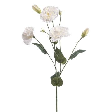Kunstblume Lisianthus RENARA, weiß, 75cm Kunstblume Lisianthus RENARA, weiß, 75cm