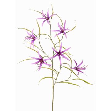 Deko Zweig Schönhäutchen TYZANS, lila, 95cm