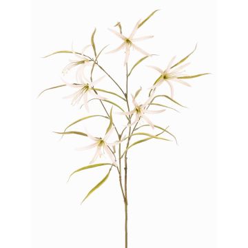 Deko Zweig Schönhäutchen TYZANS, weiß-grün, 95cm