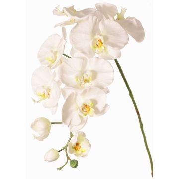 Dekozweig Phalaenopsis Orchidee WESA, weiß, 90cm, Ø11-12,5cm