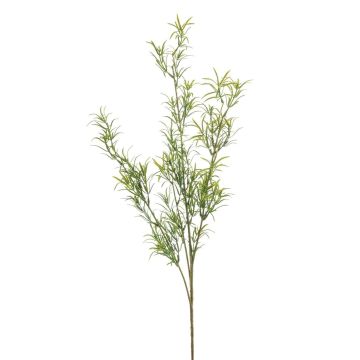 Künstlicher Asparagus sprengeri Zweig SAMBENO, grün, 80cm