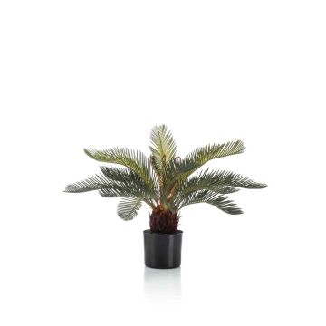Künstliche Cycas Palme klein NEREO, 55cm