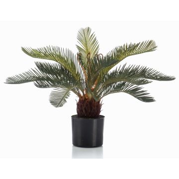 Künstliche Cycas Palme klein NEREO, 55cm