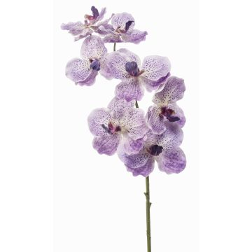 Kunstzweig Vanda Orchidee LODON, helllila-weiß, 70cm, Ø9-12cm Kunstzweig Vanda Orchidee LODON, helllila-weiß, 70cm, Ø9-12cm