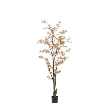 Kunstbaum Kapuzinerkresse SULLA, Kunststamm, pfirsich-grün, 185cm