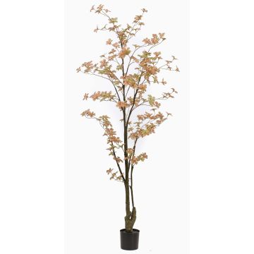 Kunstbaum Kapuzinerkresse SULLA, Kunststamm, pfirsich-grün, 185cm Kunstbaum Kapuzinerkresse SULLA, Kunststamm, pfirsich-grün, 185cm