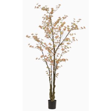 Kunstbaum Kapuzinerkresse SULLA, Kunststamm, pfirsich-grün, 245cm Kunstbaum Kapuzinerkresse SULLA, Kunststamm, pfirsich-grün, 245cm