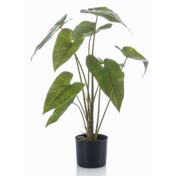 Kunstpflanze Alocasia Zebrina LEFKA mit Wurzeln, grün, 75cm Kunstpflanze Alocasia Zebrina LEFKA mit Wurzeln, grün, 75cm