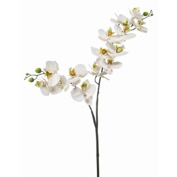 Künstlicher Phalaenopsis Orchideenzweig WANTA, weiß, 100cm