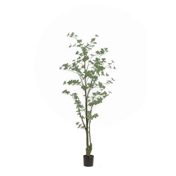 Kunstbaum Kapuzinerkresse SULLA, Kunststamm, grün, 185cm