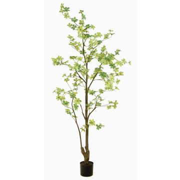Kunstbaum Kapuzinerkresse SULLA, Kunststamm, grün, 185cm Kunstbaum Kapuzinerkresse SULLA, Kunststamm, grün, 185cm