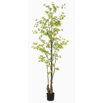 Kunstbaum Kapuzinerkresse SULLA, Kunststamm, grün, 210cm Kunstbaum Kapuzinerkresse SULLA, Kunststamm, grün, 210cm