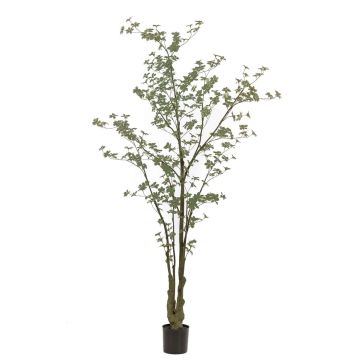 Kunstbaum Kapuzinerkresse SULLA, Kunststamm, grün, 245cm