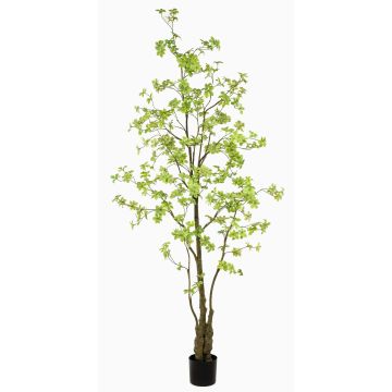 Kunstbaum Kapuzinerkresse SULLA, Kunststamm, grün, 245cm Kunstbaum Kapuzinerkresse SULLA, Kunststamm, grün, 245cm