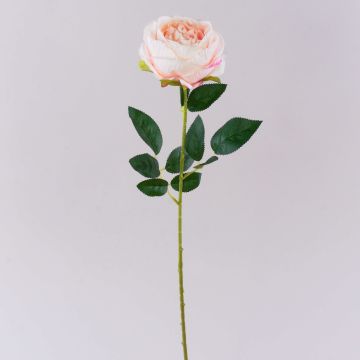 Kunstblume Rose CHERLEN, zartrosa, 65cm, Ø10cm Kunstblume Rose CHERLEN, zartrosa, 65cm, Ø10cm
