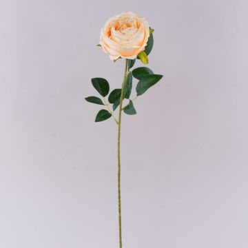 Kunstblume Rose CHERLEN, aprikose, 65cm, Ø10cm Kunstblume Rose CHERLEN, aprikose, 65cm, Ø10cm