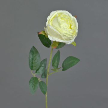 Kunstblume Rose CHERLEN, weiß-gelb, 65cm, Ø10cm