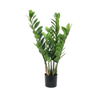 Künstlicher Zamioculcas Zamiifolia AKELA, 70cm Künstlicher Zamioculcas Zamiifolia AKELA, 70cm