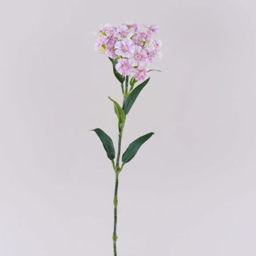 Unechte Blume Bartnelke SUSILAWA, rosa-violett, 55cm Unechte Blume Bartnelke SUSILAWA, rosa-violett, 55cm