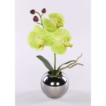 Kunstblume Orchidee Phalaenopsis NAPIRAI, Übertopf, creme-grün, 30cm Kunstblume Orchidee Phalaenopsis NAPIRAI, Übertopf, creme-grün, 30cm