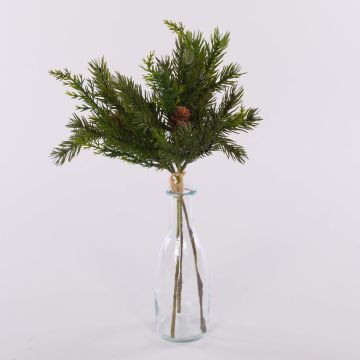 Deko Tannenzweige KIGANJA im Bund mit Zapfen, grün, 35cm Deko Tannenzweige KIGANJA im Bund mit Zapfen, grün, 35cm