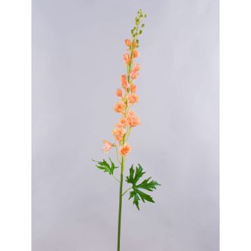 Unechte Blume Rittersporn RADUNIA, aprikose, 110cm, Ø2,5-7cm Unechte Blume Rittersporn RADUNIA, aprikose, 110cm, Ø2,5-7cm