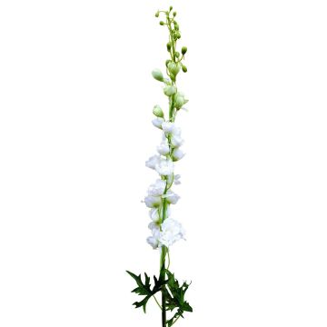 Unechte Blume Rittersporn RADUNIA, creme-weiß, 110cm, Ø2,5-7cm