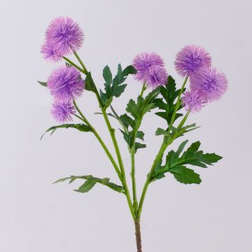 Künstlicher Blumenzweig Kugeldistel TRAUDLINDE, lila, 55cm, Ø3-4cm Künstlicher Blumenzweig Kugeldistel TRAUDLINDE, lila, 55cm, Ø3-4cm