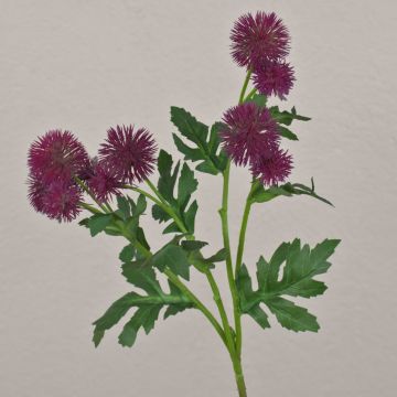 Künstlicher Blumenzweig Kugeldistel TRAUDLINDE, violett, 55cm, Ø3-4cm Künstlicher Blumenzweig Kugeldistel TRAUDLINDE, violett, 55cm, Ø3-4cm