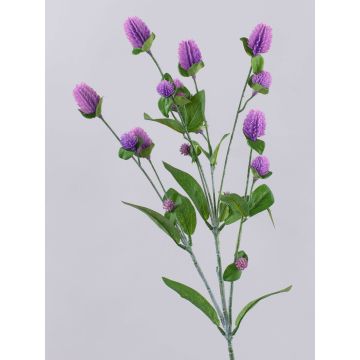 Deko Blumenzweig Kugelamarant THUSNELDA, lila, 70cm, Ø1,5-2,5cm Deko Blumenzweig Kugelamarant THUSNELDA, lila, 70cm, Ø1,5-2,5cm
