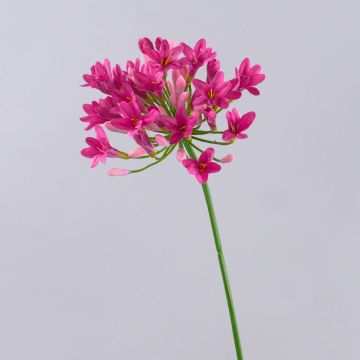 Deko Kunstblume Agapanthus PHILINA, pink, 75cm, Ø14cm Deko Kunstblume Agapanthus PHILINA, pink, 75cm, Ø14cm