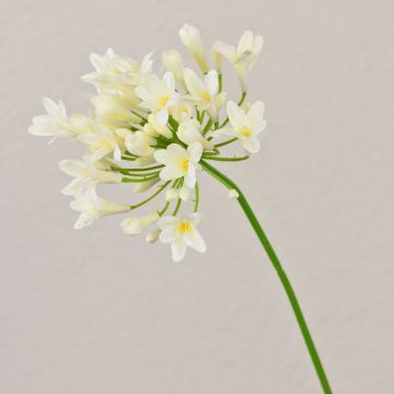 Deko Kunstblume Agapanthus PHILINA, creme-gelb, 75cm, Ø14cm