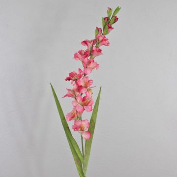 Künstliche Blume Gladiole THEOPHORA, pink-grün, 110cm, Ø6-10cm